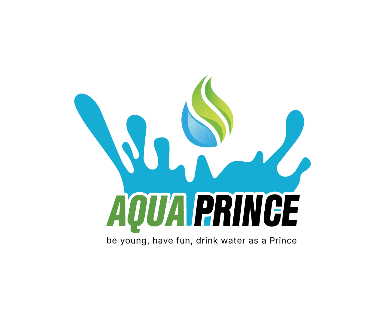 Aqua Prince premium water filtration system